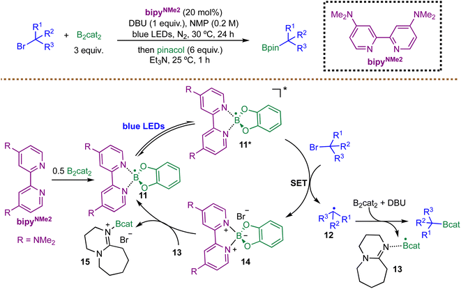 image file: d5sc08322b-s10.tif