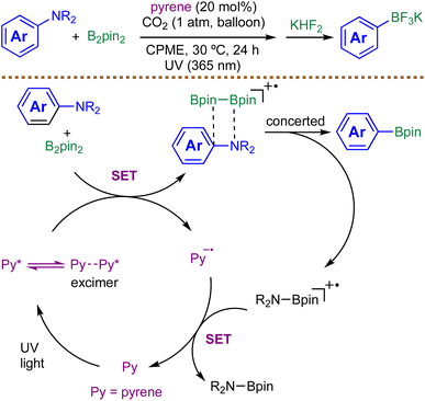 image file: d5sc08322b-s4.tif