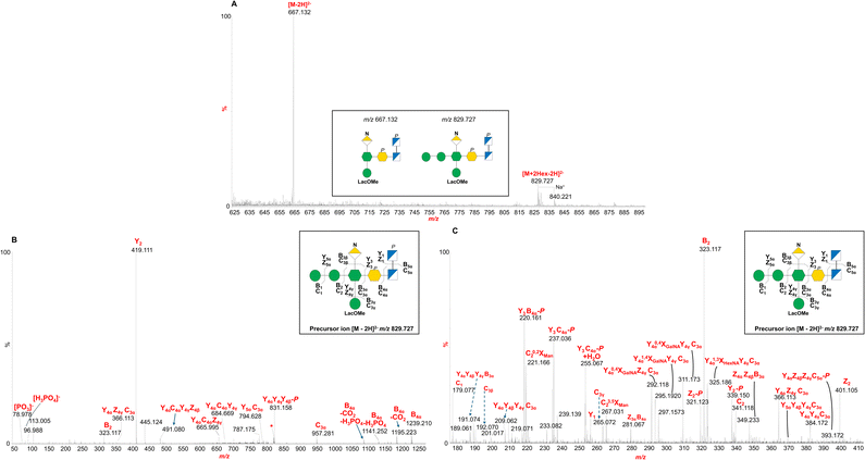 image file: d5sc08335d-f2.tif