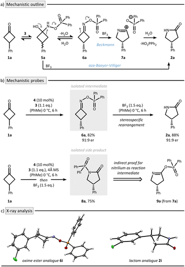 image file: d5sc08417b-f2.tif