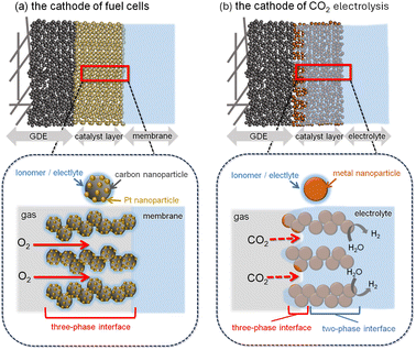 image file: d5sc08419a-f1.tif