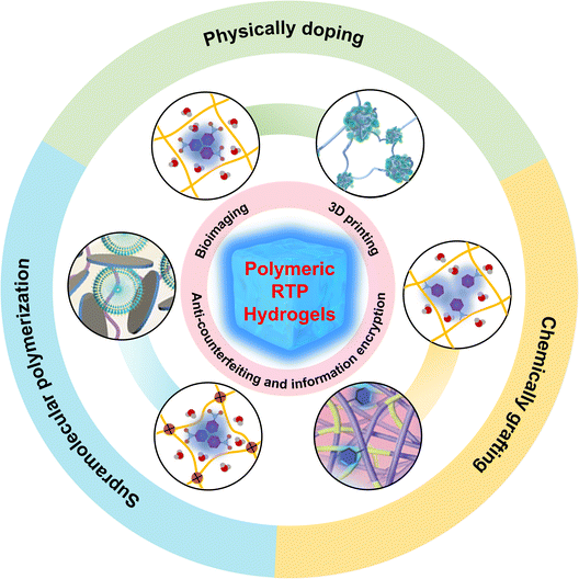 image file: d5sc08423g-s1.tif