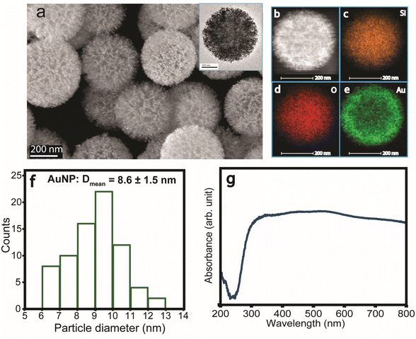image file: d5sc08424e-f1.tif