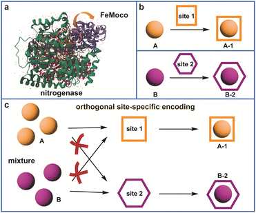 image file: d5sc08435k-f1.tif