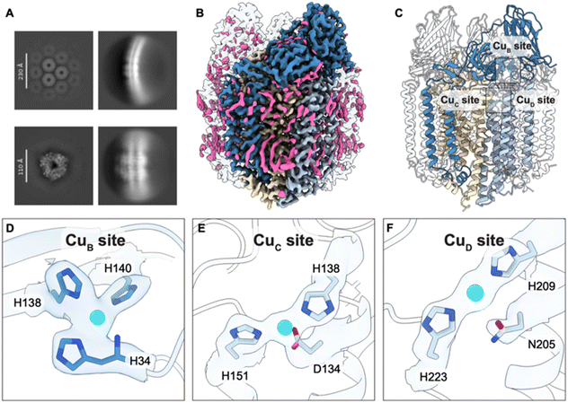 image file: d5sc08447d-f1.tif