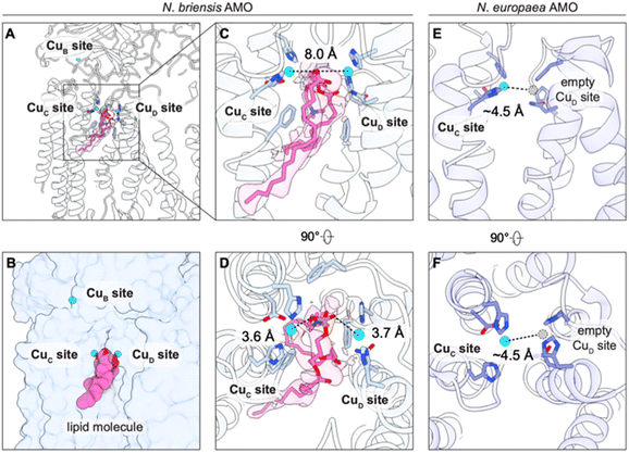 image file: d5sc08447d-f3.tif