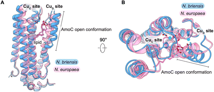 image file: d5sc08447d-f4.tif