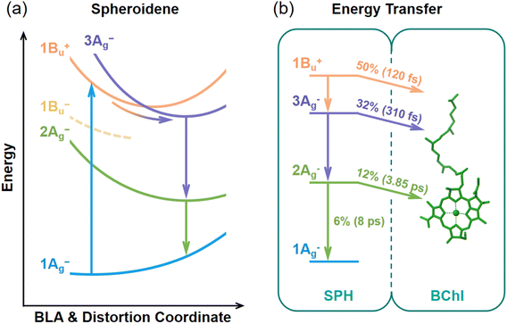 image file: d5sc08508j-f5.tif