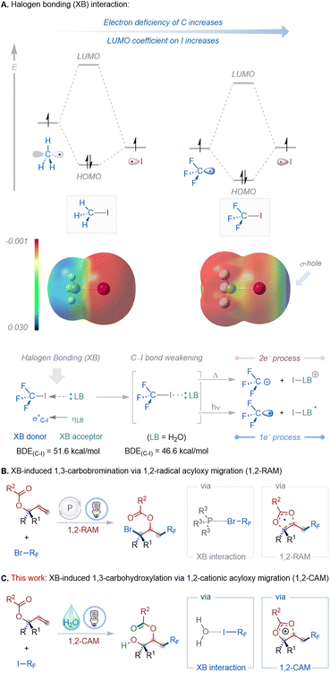 image file: d5sc08514d-f1.tif