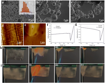 image file: d5sc08536e-f3.tif