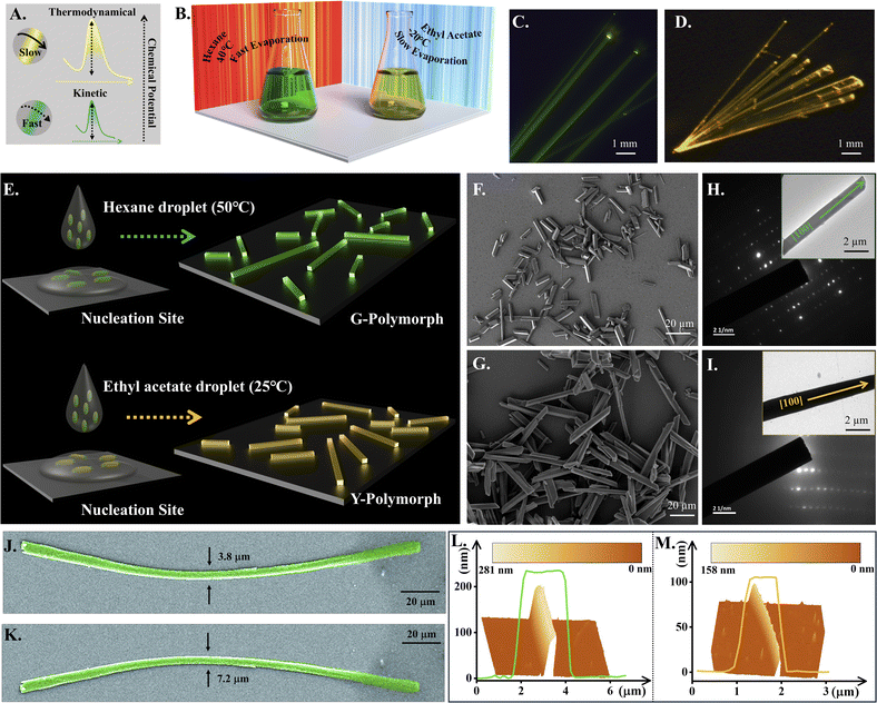 image file: d5sc08545d-f1.tif