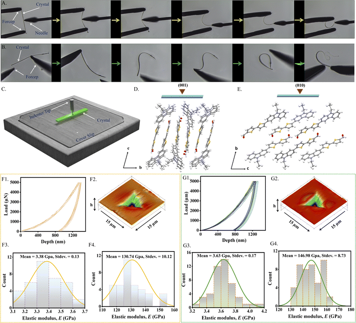 image file: d5sc08545d-f4.tif
