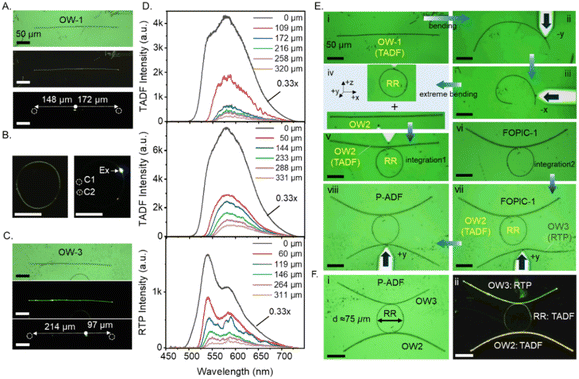 image file: d5sc08545d-f5.tif