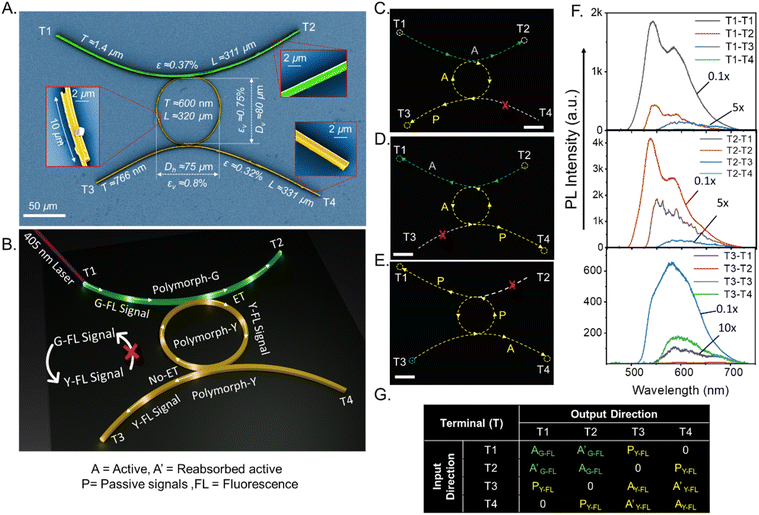 image file: d5sc08545d-f6.tif