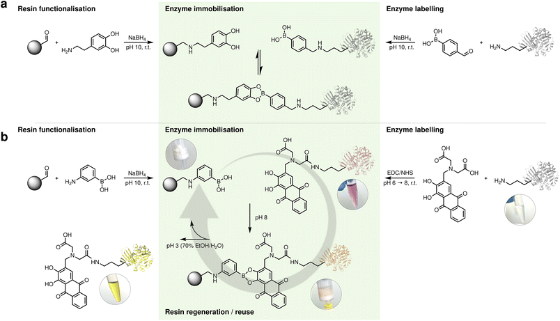 image file: d5sc08585c-f2.tif