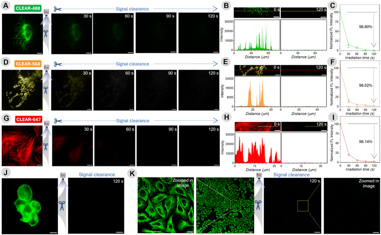 image file: d5sc08599c-f3.tif