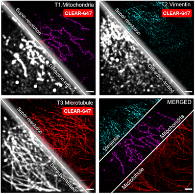 image file: d5sc08599c-f7.tif