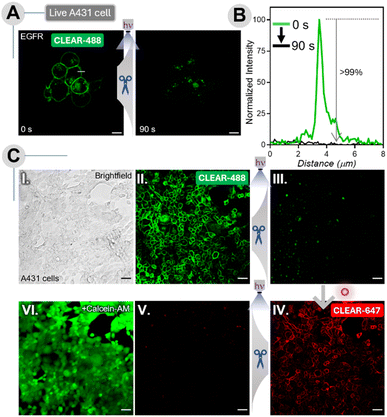 image file: d5sc08599c-f8.tif
