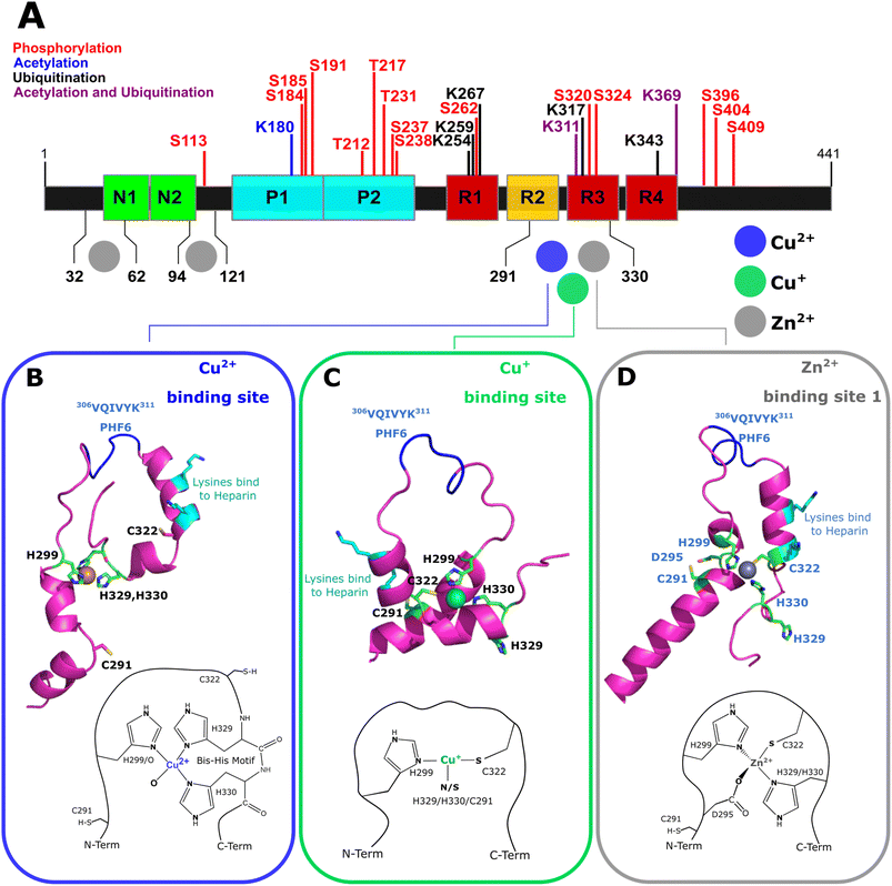image file: d5sc08604c-f10.tif
