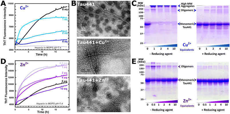 image file: d5sc08604c-f9.tif