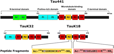 image file: d5sc08604c-s1.tif