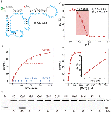 image file: d5sc08656f-f2.tif
