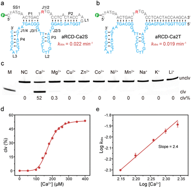 image file: d5sc08656f-f3.tif