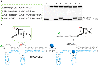 image file: d5sc08656f-f4.tif