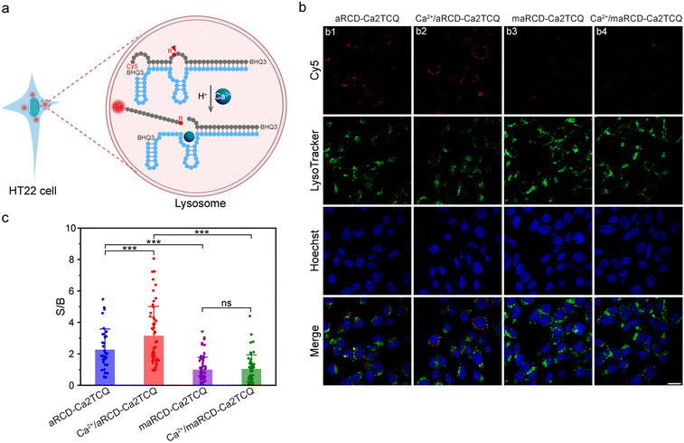 image file: d5sc08656f-f6.tif