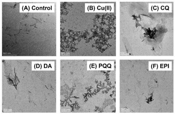 image file: d5sc08658b-f6.tif