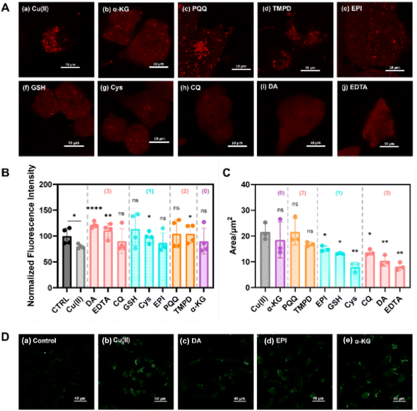 image file: d5sc08658b-f7.tif