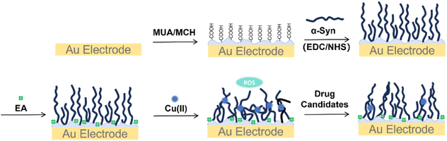 image file: d5sc08658b-s1.tif