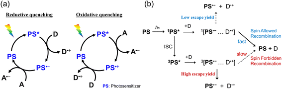 image file: d5sc08659k-s1.tif