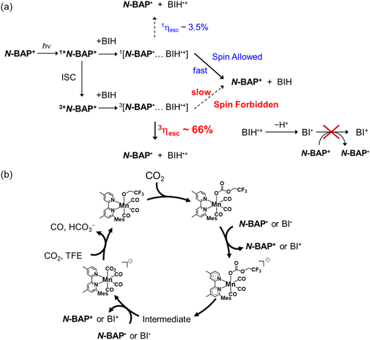 image file: d5sc08659k-s4.tif