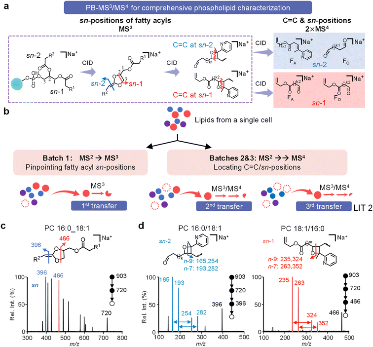 image file: d5sc08665e-f4.tif