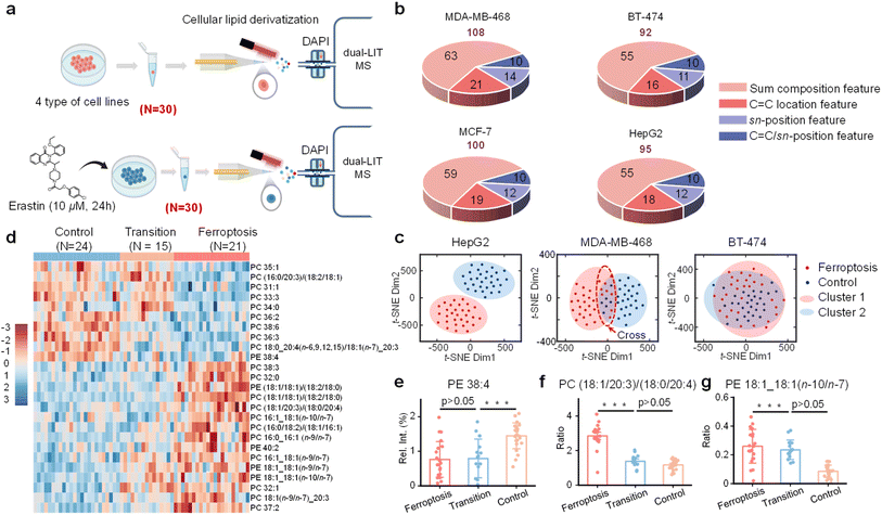 image file: d5sc08665e-f7.tif