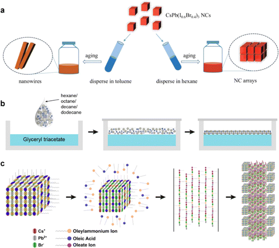 image file: d5sc08666c-f2.tif