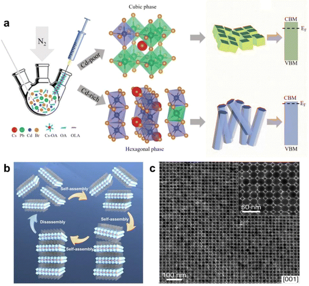 image file: d5sc08666c-f5.tif