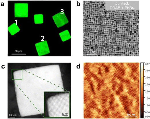 image file: d5sc08666c-f6.tif