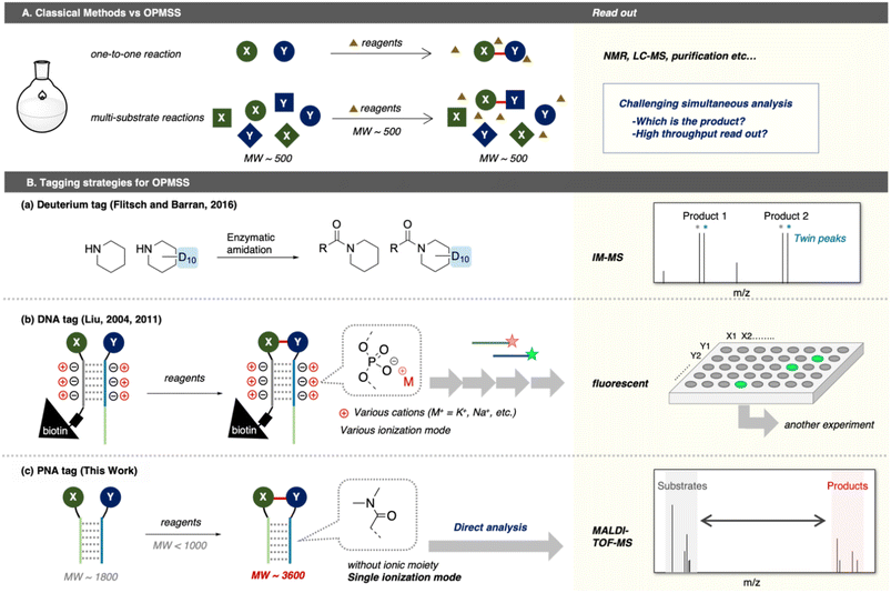 image file: d5sc08732e-f1.tif