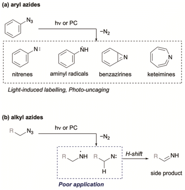 image file: d5sc08732e-f2.tif