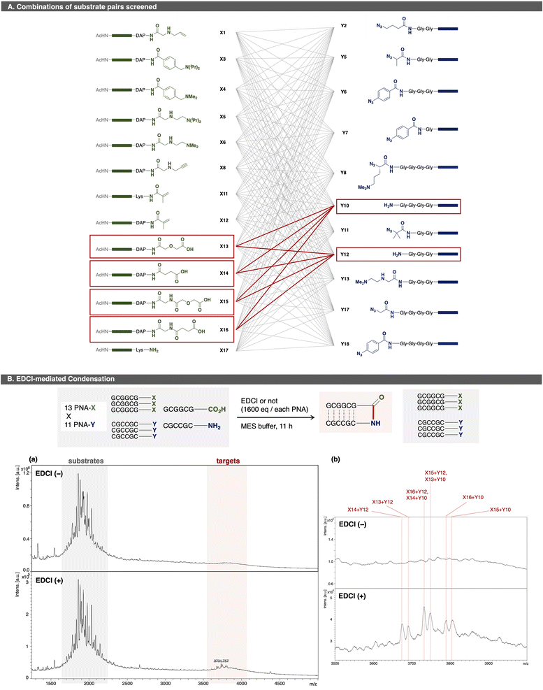 image file: d5sc08732e-f4.tif