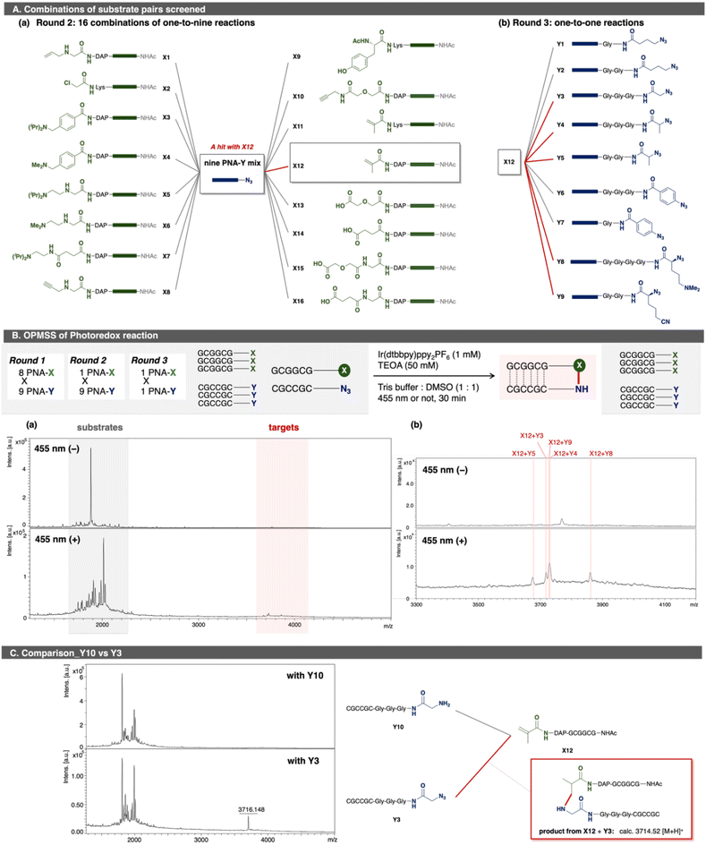 image file: d5sc08732e-f5.tif