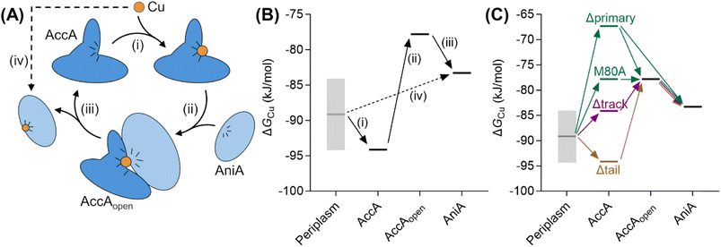image file: d5sc08738d-f10.tif