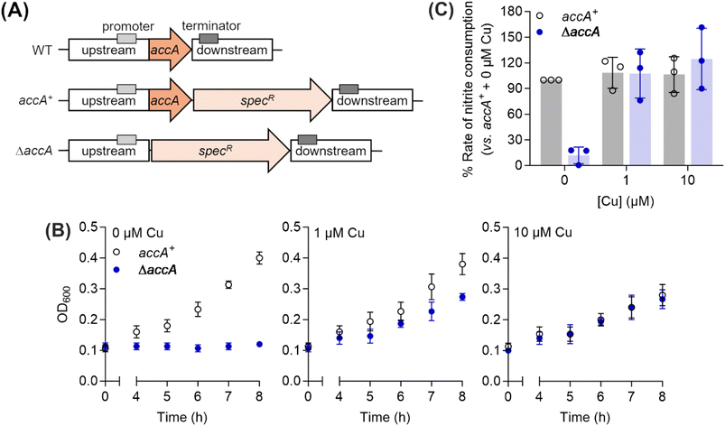 image file: d5sc08738d-f4.tif