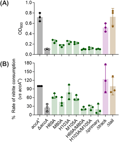 image file: d5sc08738d-f5.tif