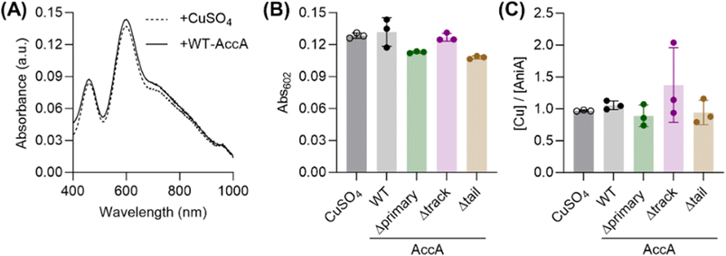 image file: d5sc08738d-f6.tif