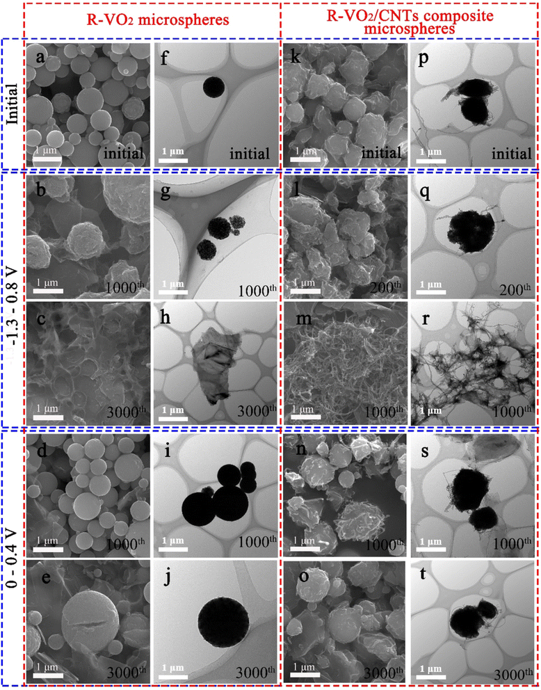 image file: d5sc08747c-f4.tif