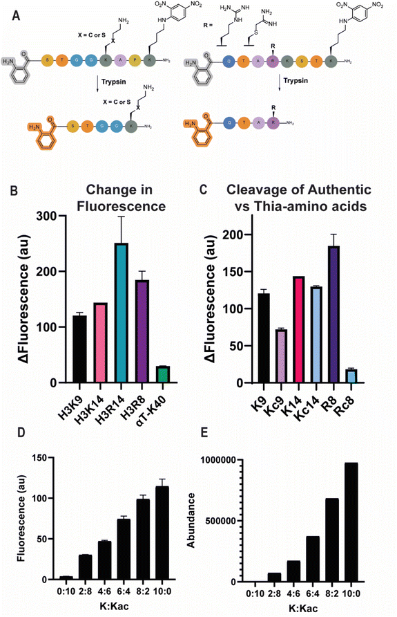 image file: d5sc08759g-f2.tif