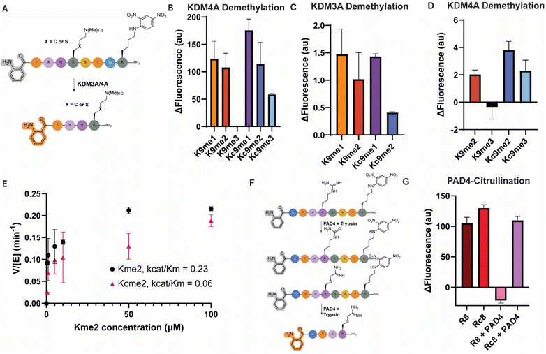 image file: d5sc08759g-f4.tif